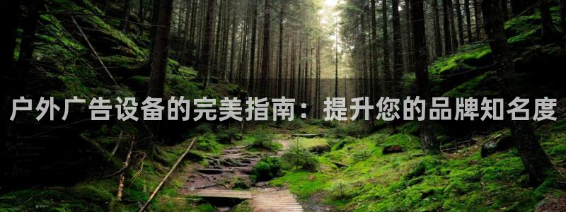 杏宇平台登录步骤图