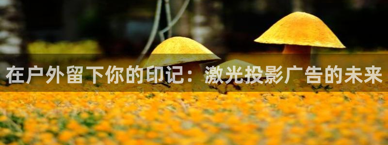 杏宇平台登录步骤图