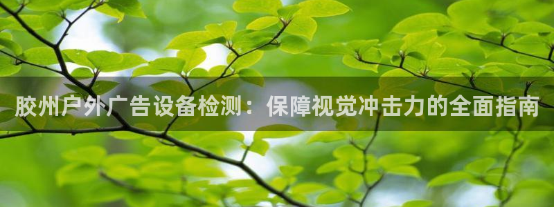 杏宇官方平台官网下载：胶州户外广告设备检测：保障视觉冲击力的全面指南