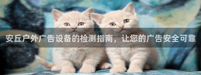杏宇平台招商电话号码
