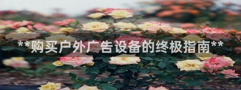 杏宇平台代理怎么赚钱的：**购买户外广告设备的终极指南**