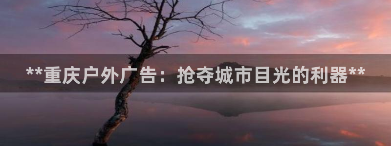 杏宇平台代理怎么样：**重庆户外广告：抢夺城市目光的利器**