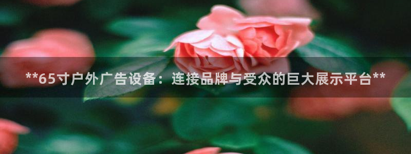 杏宇平台登录步骤：**65寸户外广告设备：连接品牌与受众的巨大展示平台**