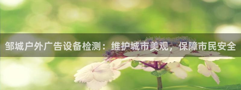 杏宇平台代理怎么样
