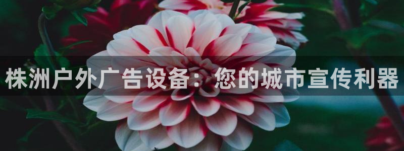 杏宇平台代理多少钱一次：株洲户外广告设备：您的城市宣传利器