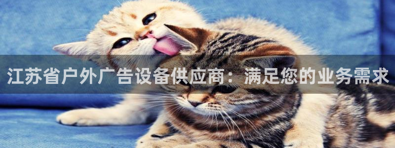 杏宇平台代理多少钱一个月：江苏省户外广告设备供应商：满足您的业务需求