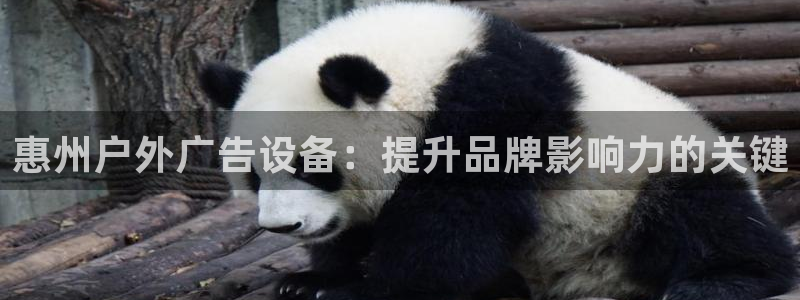 杏宇官方平台官网