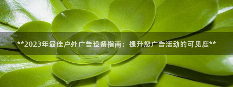 杏宇平台登录步骤图：**2023年最佳户外广告设备指南：提升您广告活动的可见度**