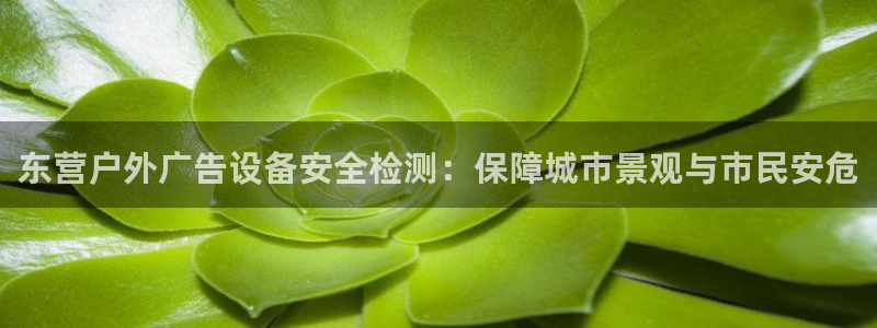 杏宇平台登陆