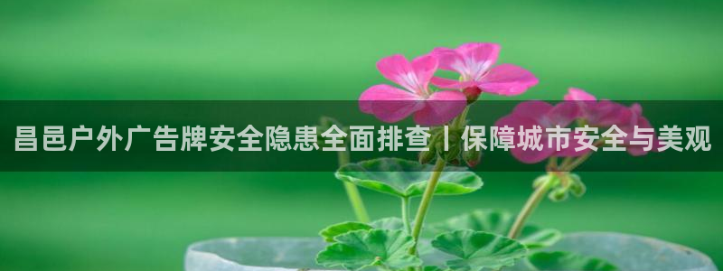杏宇平台好吗