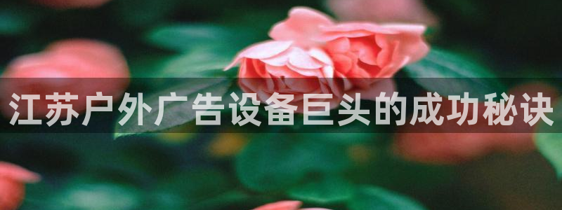 杏宇平台总代理电话