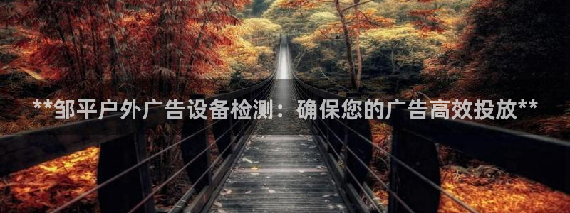 杏宇平台官网注册：**邹平户外广告设备检测：确保您的广告高效投放**