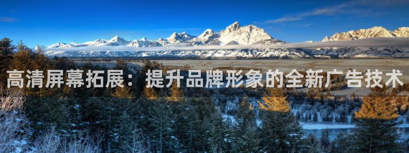 杏宇平台是什么：高清屏幕拓展：提升品牌形象的全新广告技术