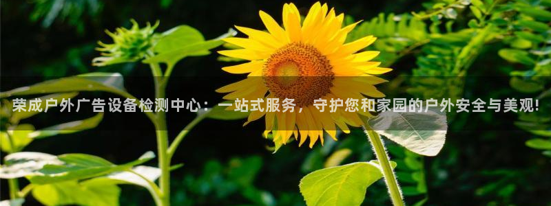 杏宇平台招商电话号码：荣成户外广告设备检测中心：一站式服务，守护您和家园的户外安全与美观!