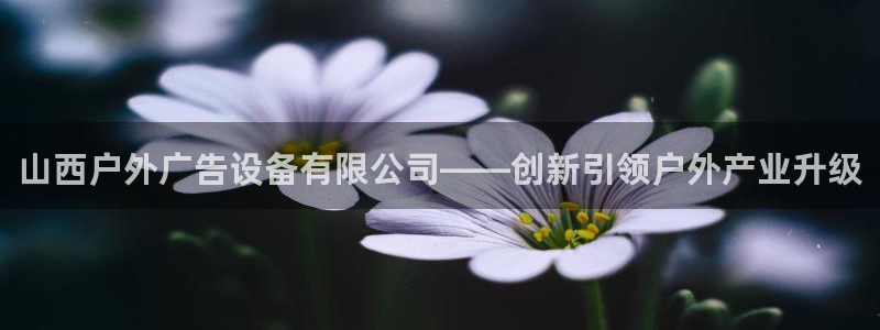 杏宇平台代理怎么样赚钱：山西户外广告设备有限公司——创新引领户外产业升级