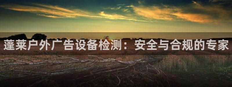 杏宇平台总代理：蓬莱户外广告设备检测：安全与合规的专家