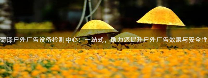 杏宇平台代理多少钱一次：菏泽户外广告设备检测中心：一站式，助力您提升户外广告效果与安全性