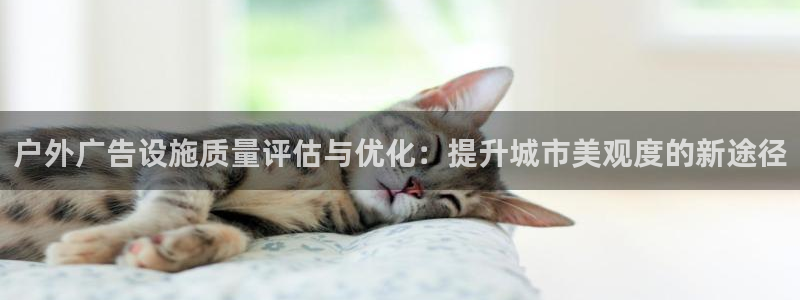 杏宇平台开户：户外广告设施质量评估与优化：提升城市美观度的新途径