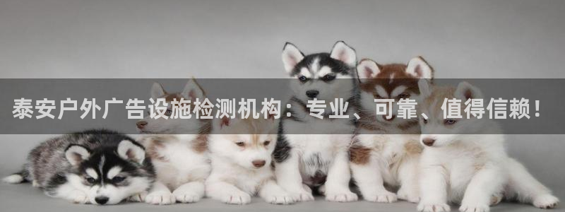 杏宇官方平台官网下载：泰安户外广告设施检测机构：专业、可靠、值得信赖！