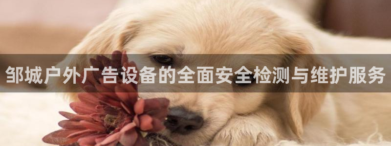杏宇平台总代理：邹城户外广告设备的全面安全检测与维护服务