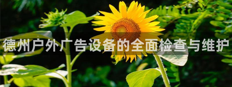 杏宇平台总代理：德州户外广告设备的全面检查与维护