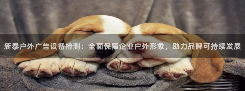 杏宇平台测速链接：新泰户外广告设备检测：全面保障企业户外形象，助力品牌可持续发展
