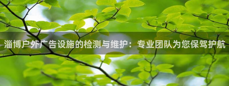 杏宇官方平台官网：淄博户外广告设施的检测与维护：专业团队为您保驾护航