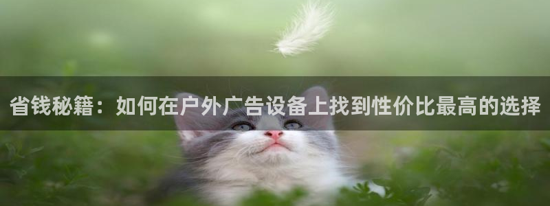 杏宇平台代理多少钱一个月：省钱秘籍：如何