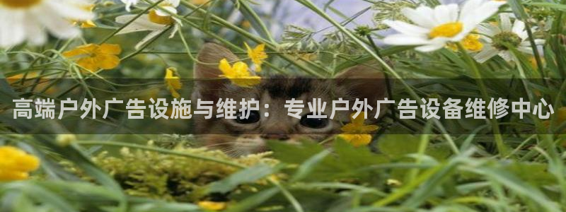 杏宇平台招商怎么样：高端户外广告设施与维护：专业户外广告设备维修中心