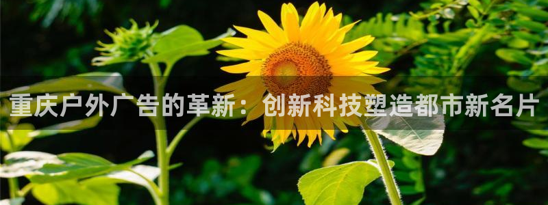 杏宇平台提现为什么这么久呢：重庆户外广告的革新：创新科技塑造都市新名片