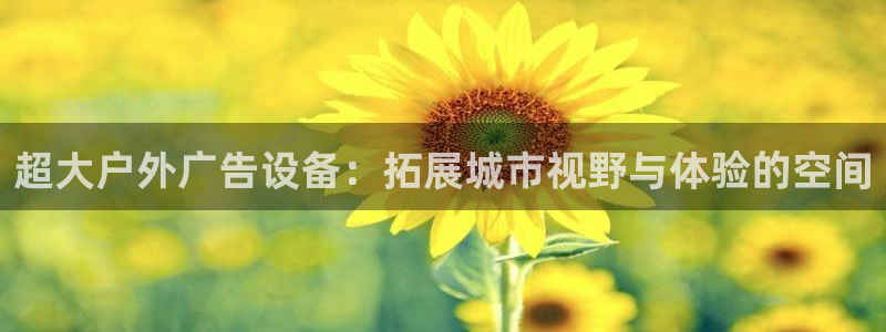 杏宇官方平台官网：超大户外广告设备：拓展