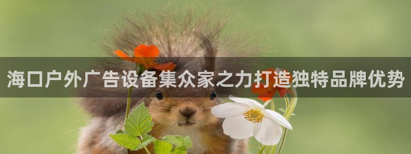 杏宇平台提现为什么这么久呢：海口户外广告