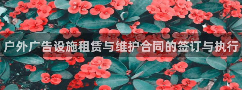 杏宇平台开户：户外广告设施租赁与维护合同的签订与执行