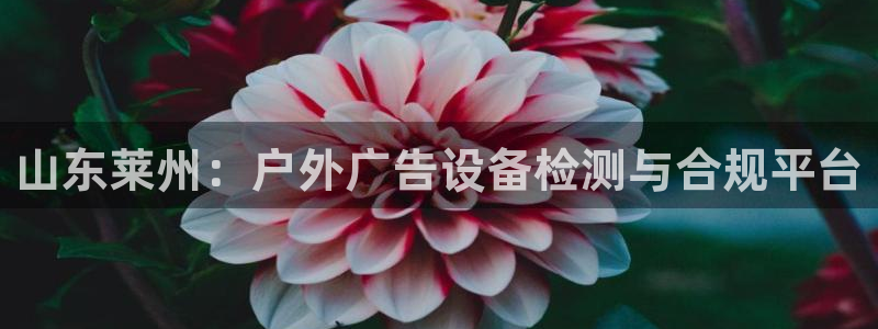 杏宇平台招商：山东莱州：户外广告设备检测