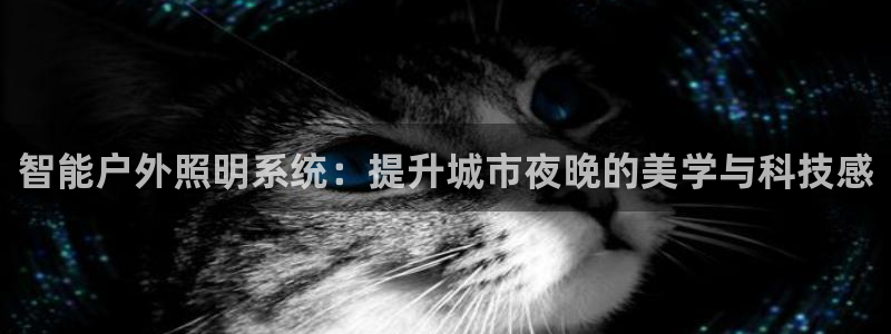 杏宇平台代理多少钱一个：智能户外照明系统