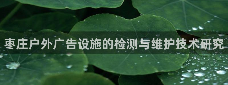 杏宇平台代理怎么样