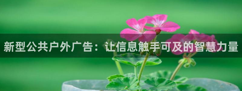 杏宇平台代理