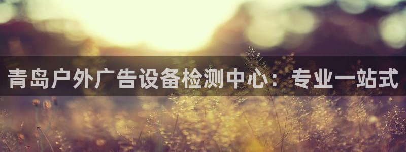 杏宇平台怎么样：青岛户外广告设备检测中心：专业一站式