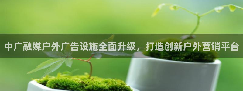 杏宇平台代理怎么赚钱快