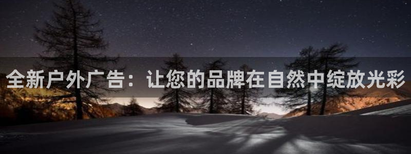 杏宇平台注册地址：全新户外广告：让您的品牌在自然中绽放光彩