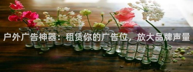 杏宇平台登录步骤