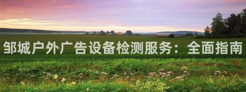 杏宇官方平台官网入口：邹城户外广告设备检测服务：全面指南