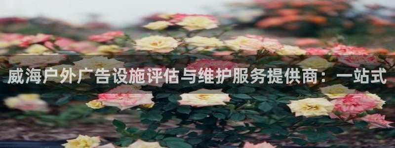 杏宇平台代理怎么样赚钱：威海户外广告设施评估与维护服务提供商：一站式