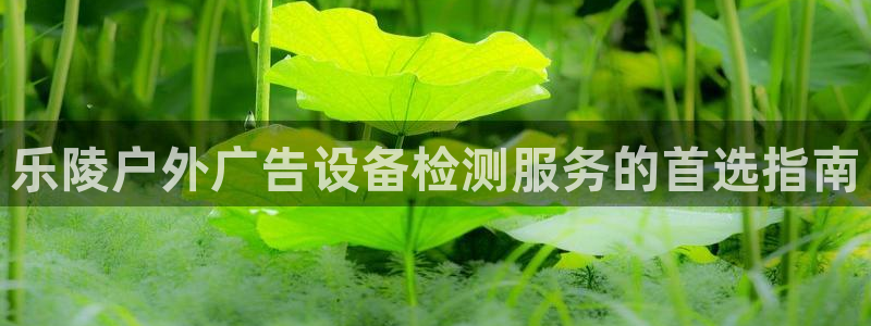 杏宇官方平台官网入口：乐陵户外广告设备检测服务的首选指南
