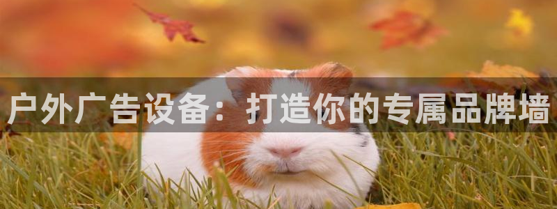 杏宇平台测速链接：户外广告设备：打造你的专属品牌墙