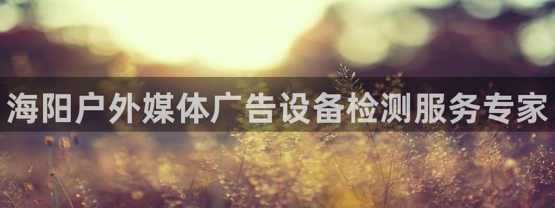 杏宇平台总代理电话
