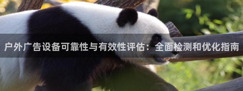 杏宇平台好吗